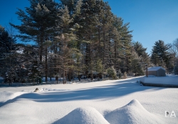 Winter Fun-5