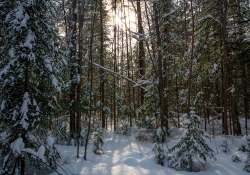 Winter Fun-9