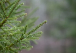 17-Wide-Aperture-7 17-Wide-Aperture-7