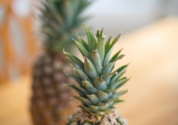 19-Bokeh-3 19-Bokeh-3