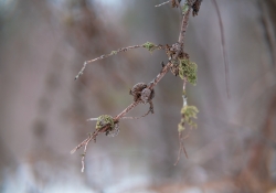 24-More-Images-2 24-More-Images-2