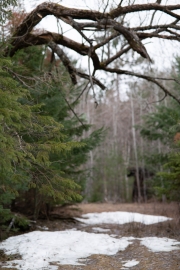 Viltrox-Bokeh-12