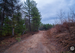 Viltrox-AF13-Samples-10