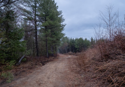 Viltrox-AF13-Samples-11