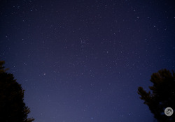 Viltrox-AF13-Samples-18