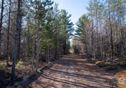 Viltrox-AF13-Samples-21