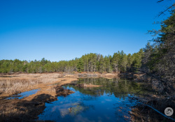 Viltrox-AF13-Samples-22