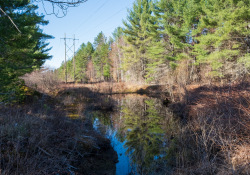 Viltrox-AF13-Samples-23