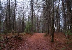 Viltrox-AF13-Samples-6