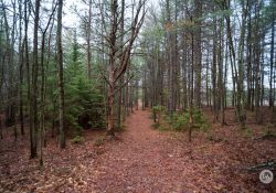 Viltrox-AF13-Samples-7