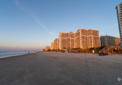 Myrtle-2