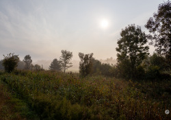 Viltrox-28-Samples-63