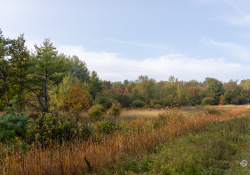 Viltrox-28-Samples-64