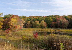 Viltrox-28-Samples-67