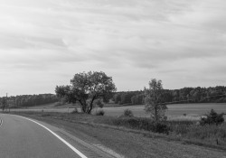 Viltrox-28-Samples-68