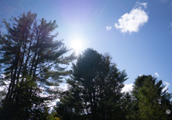 45-Flare-1