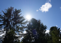 45-Flare-2