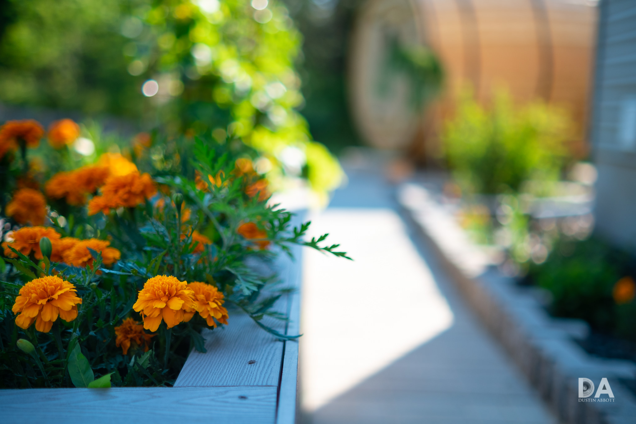 Viltrox AF 33mm F1.4 XF Review - DustinAbbott.net