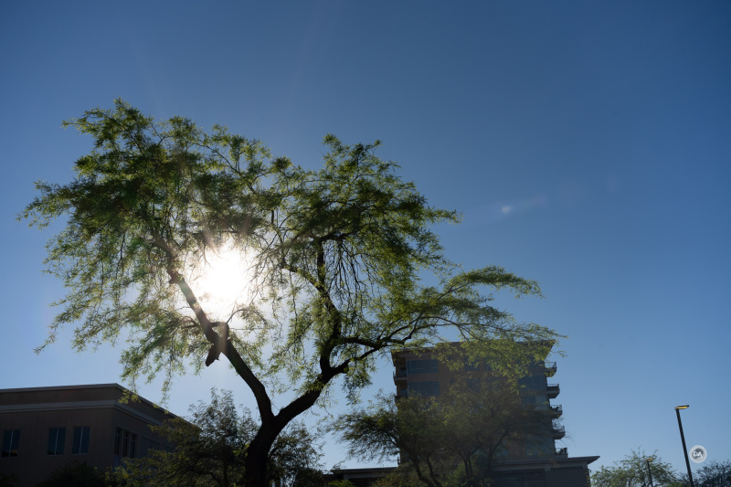 53-Sun-5-of-6