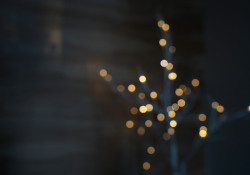 10-Aperture-blades-2