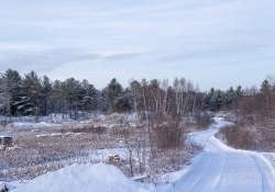 28-Landscape-1