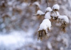 30-Bokeh-3