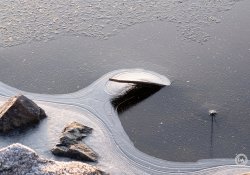 46-Winter