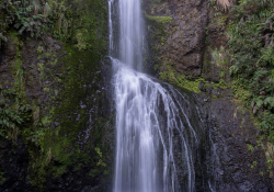 52-Gallery-3
