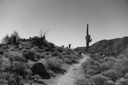 57-Gallery-16-of-22
