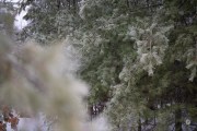50-Gallery-6-of-21