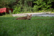 Pro-AF-27-Samples-73