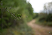 52-Gallery-