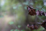 52-Gallery-10