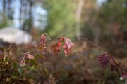 52-Gallery-14