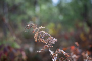 52-Gallery-15