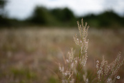 52-Gallery-2