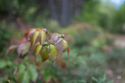 52-Gallery-3