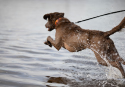 Samples-Round-2-18