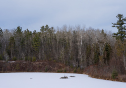 35-Landscape-1
