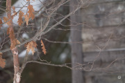 19-Gallery-1-of-6