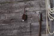 19-Gallery-2-of-6