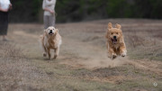 Samples-14-of-19
