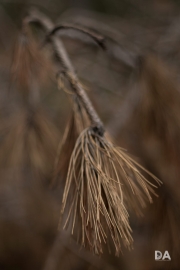 Takumar a6500-8