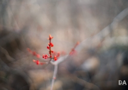 Signs of Life