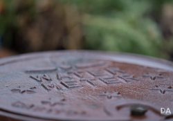 Voigtlander-110-Samples