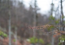 30-Bokeh-2
