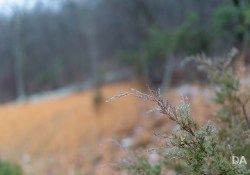 30-Bokeh-3