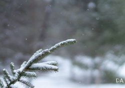 30-Bokeh-4