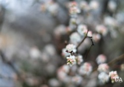30-Bokeh