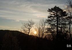 31-Landscapes-6